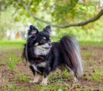 becky-desetileta---zamecky-park-namest-na-hane-1.jpg