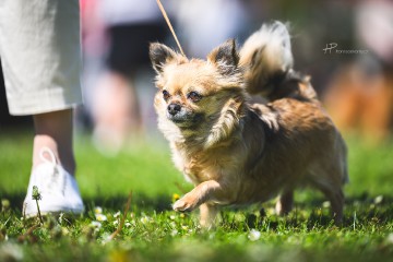 dsc_4994.jpg