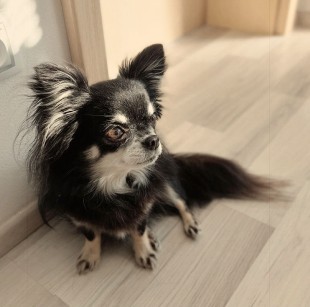 7968d29b-764b-4001-a683-4b0f783beedd.jpg
