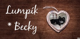 pixiz-24-03-2019-19_17_07.jpg